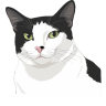 binh's Avatar
