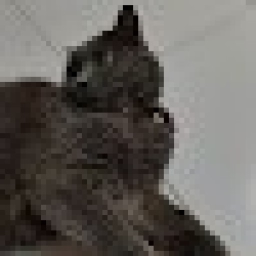 cryptex's Avatar