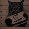 drr0x1's Avatar