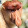 LEAISAUFEAU's Avatar
