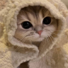 miaow