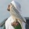 Rahl's Avatar