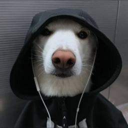rootriven