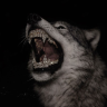 th3void's Avatar