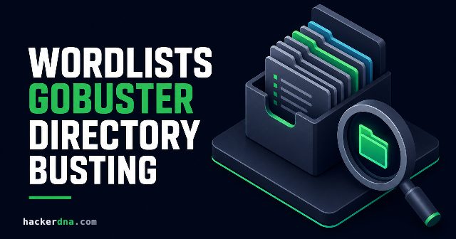 Wordlists Gobuster : les meilleures listes pour le directory busting